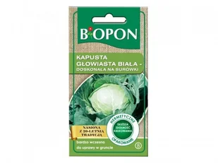 BIOPON Nasiona Kapusta głowiasta biała na surówki 1453 - Nasiona i cebule BIOPON Nasiona Kapusta głowiasta biała na surówki 1453 - Nasiona i cebule - miniaturka - grafika 1