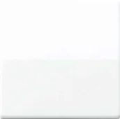 Wyłączniki światła i elektryczne - Jung przełącznik kołyskowy zapewnia przełącznik i przycisk seria AS antybakteryjna, biel alpejska, 1 sztuki, ABAS 591 WW ABAS 591 WW - miniaturka - grafika 1