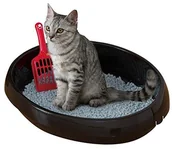 Kuwety dla kotów - Iris kuweta z łopatką, ohyama, czarny 530871 - miniaturka - grafika 1