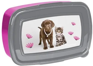 Paso Śniadaniówka Rachael Hale LETNIA WYPRZEDAŻ DO 80% - Lunch boxy Paso Śniadaniówka Rachael Hale LETNIA WYPRZEDAŻ DO 80% - Lunch boxy - miniaturka - grafika 2