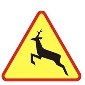 Wyposażenie miejsc publicznych - Znak ostrzegawczy  A-18B Zwierzęta dzikie - miniaturka - grafika 1