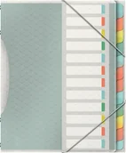 Ofertówki - Esselte Teczka segregująca Colour'Ice PP z 12 przekładkami 626256 - miniaturka - grafika 1