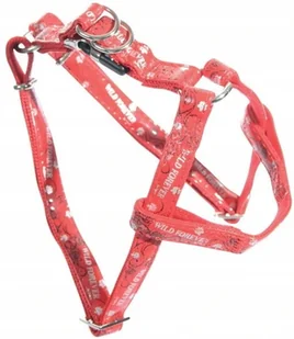 Lampka Nocna Ośmiornica Pozytywka Kołysanki - Projektory dla dzieci - miniaturka - grafika 3