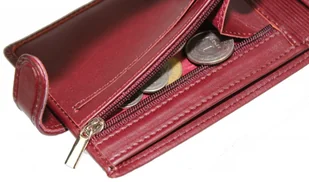 Wilmar (PL) Etui Na Dokumenty (PL) Poziome Z Zapięciem Z Miejscem Na Gotówkę RFID 9,5 x 12 x 1,5 [cm] - Etui na dokumenty i karty - miniaturka - grafika 5