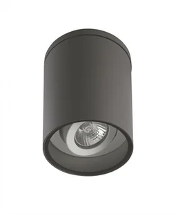 Su-Ma Lampa sufitowa IP54 SUMA ADELA 7004 DG ogrodowa ciemno-szara lampa z regulacją kąta padania światła 7004 DG - Lampy sufitowe - miniaturka - grafika 2