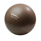 Akcesoria do skatingu - HMS Piłka gimnastyczna YB02 Anti-Burst Grizzly brązowa 65CM 17-8-286 - miniaturka - grafika 1