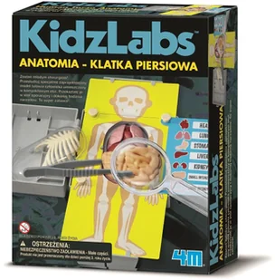 4M KidzLabs Anatomia klatka piersiowa 3373 - Mały naukowiec - miniaturka - grafika 3