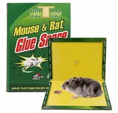 Zwalczanie i odstraszanie szkodników - Lep Na Myszy Pułapka Myszołapka Klejowa Gryzonie - miniaturka - grafika 1