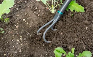GARDENA NatureLine kultywator z trzonkiem 17108-20 17108-20 - Pozostałe narzędzia ogrodowe - miniaturka - grafika 2