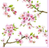 Folia, papier śniadaniowy, serwetki - Nuova R2S Easy life SERWETKI PAPIEROWE - Sakura - Kwitnąca Wiśnia 414 SAKU - miniaturka - grafika 1