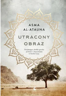 Sonia Draga Utracony obraz - Pozostałe książki - miniaturka - grafika 2