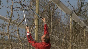 Bahco profesjonalny sekator dwuręczny dźwigniowy do gałęzi 800mm, [P280-SL-80] P280-SL-80 - Nożyce i sekatory - miniaturka - grafika 2