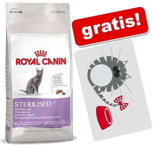 Royal Canin Mother & Babycat - 10 kg - Sucha karma dla kotów - miniaturka - grafika 2