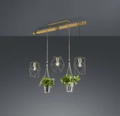 Lampy sufitowe - Trio Plant Wisząca 301000367 - miniaturka - grafika 1
