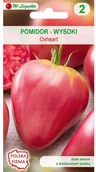 Nasiona i cebule - Legutko Pomidor wysoki OXHEART (MALINOWY BAWOLE SERCE) - miniaturka - grafika 1