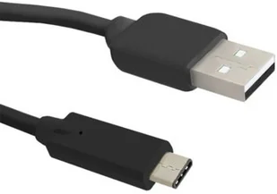 Kabel Usb 2.0 Qoltec A męski/ Usb 3.1 typC Męski | - Kontrolery - miniaturka - grafika 2