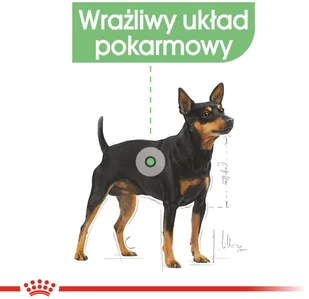 Royal Canin CCN Digestive Care 12x85g karma mokra pasztet dla psów dorosłych o wrażliwym przewodzie pokarmowym 25438-uniw - Mokra karma dla kotów Royal Canin CCN Digestive Care 12x85g karma mokra pasztet dla psów dorosłych o wrażliwym przewodzie pokarmowym 25438-uniw - Mokra karma dla kotów - miniaturka - grafika 5