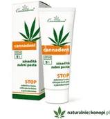 Pasty do zębów - Cannaderm Konopna pasta do zębów CANNADENT - miniaturka - grafika 1