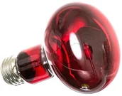 Akcesoria do terrarium - Repti-Zoo Infrared Heat 50W - żarówka grzewcza podczerwona RZ Infrared Heat R63050 50W - miniaturka - grafika 1