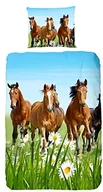 Pościel dla dzieci - Good Morning! Good Morning 5316 P 135 cm pościel koni, 100% bawełna, 135 x 200 cm, bawełna, Multi, 200 x 135 x 0,5 cm 5316-P 135cm - miniaturka - grafika 1