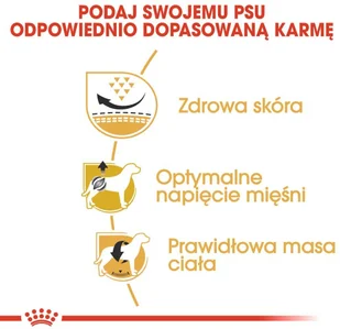 Royal Canin Pug Adult 1,5 kg - Sucha karma dla psów - miniaturka - grafika 9