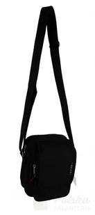 BESA (PL) Torba/Saszetka Mała Na Ramię BESA (PL) Pionowa NR 289 - Torby męskie - miniaturka - grafika 3