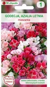 Nasiona i cebule - Legutko Godecja (Azalia letnia) MIESZANKA - miniaturka - grafika 1