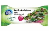 Środki do WC - Clean Ravi THERAPY KOSTKA TOALETOWA ZAPAS ZIELONY LAS 50G - miniaturka - grafika 1