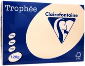 Papier do drukarek - Emerson Papier ksero A4 120g piaskowy Trophee - miniaturka - grafika 1