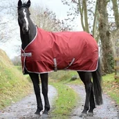 Derki dla konia - Bucas Derka stajenna 300g FREEDOM STABLE - Bucas - chilli red - miniaturka - grafika 1