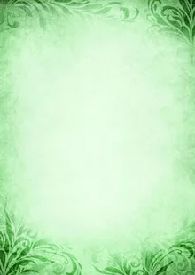 Argo DYPLOM EMERALD 170G./25/ - Dyplomy i okładki - miniaturka - grafika 3