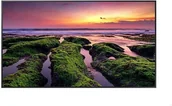 Monitory reklamowe i wyświetlacze - Samsung Monitor profesjonalny QB50B 50 cali Błyszczący 16h/7 350(cd/m2) 3840 x 2160 (UHD) S10 Player (Tizen 6.5) WiFi/BT 3 lata d2d (LH50QBBEBGCXEN) - miniaturka - grafika 1