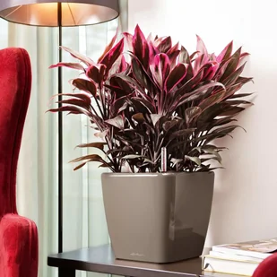 Lechuza Donica Quadro 28 LS ALL-IN-ONE, szara, wysoki połysk, 16145 - Donice - miniaturka - grafika 3