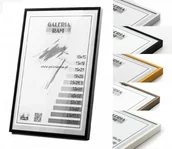 Ramki na zdjęcia - Galeria Ram Rama Aluminiowa Alu G 20x30 G5a - miniaturka - grafika 1