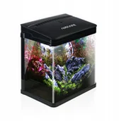 Akwaria i zestawy akwarystyczne - Akwarium dla ryb bojownik Nobleza 14L - miniaturka - grafika 1