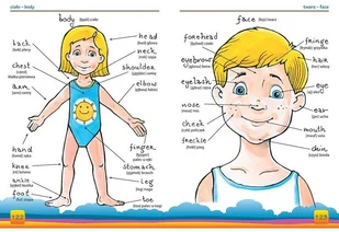 Greg Mój pierwszy słownik ang.-pol., pol.-ang. TW Greg - Książki edukacyjne - miniaturka - grafika 3