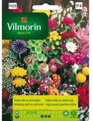 Nasiona i cebule - Vilmorin Nasiona roślin na suche bukiety - miniaturka - grafika 1