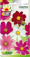 Nasiona i cebule - Toraf KWIATY Onętek Kosmos mix kolorów nasiona 1g 00271 - miniaturka - grafika 1
