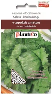 Nasiona i cebule - Plantico Sałata krucha Kinga otoczkowana - miniaturka - grafika 1