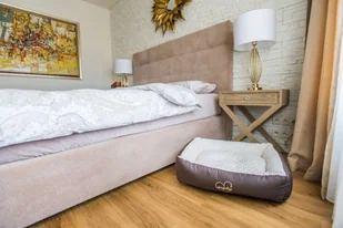 Ami Play SofaBabydoll - Legowiska dla psów - miniaturka - grafika 18