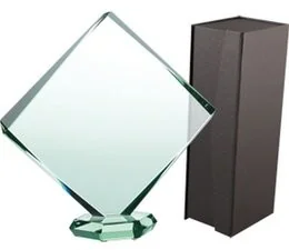 VS VS, Trofeum szklane + etui - Gadżety dla kibiców - miniaturka - grafika 2