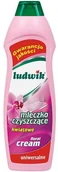 Środki do kuchni i łazienki - Inco-Veritas Mleczko czyszczące LUDWIK Kwiatowe, 660 g - miniaturka - grafika 1