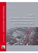 Nauki przyrodnicze - Analiza uwarunkowań środowiskowych w planowaniu i zagospodarowaniu przestrzennym gminy Cegłów Używana - miniaturka - grafika 1