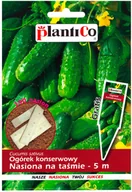 Nasiona i cebule - Plantico Ogórek - nasiona na taśmie 5m - miniaturka - grafika 1