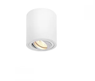 SLV SPOTLINE Triledo biała okragła QPAR51 1002011 - Oprawy, klosze i abażury - miniaturka - grafika 2