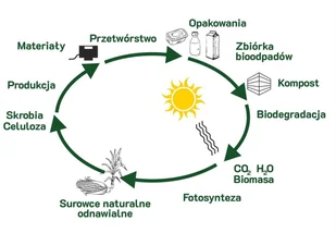 GreenTree Woreczki na psie kupki Biodegradowalne 90szt. - Woreczki na psie odchody - miniaturka - grafika 2