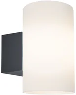 Lampy ogrodowe - Paulmann Outd 230V Wandl Tube IP54 E27 max15W Alu 94186 - miniaturka - grafika 1