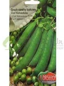 Nasiona i cebule - Torseed Groch cud Kalvedonu 50 g - miniaturka - grafika 1