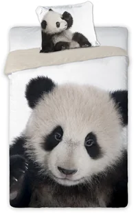 FO Pościel Bawełniana Panda 11371 - Pościel - miniaturka - grafika 2