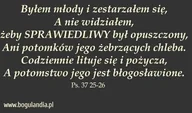 Magnesy - Bogulandia Magnes 44 na lodówkę - Byłem młody i zestarzałem.. - miniaturka - grafika 1